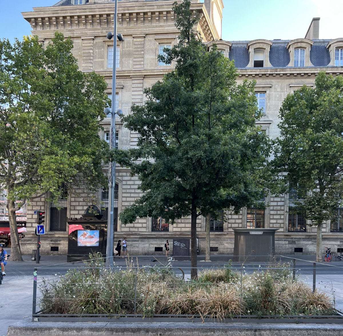 The memorial tree in Paris.