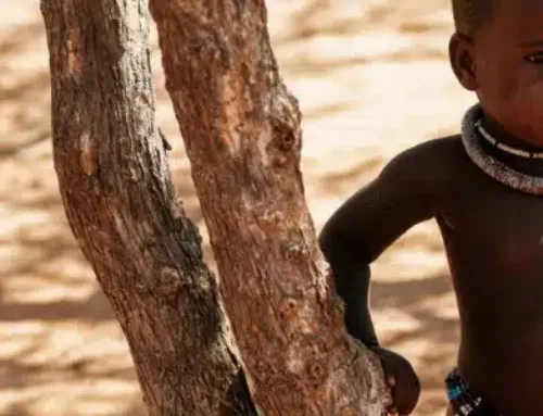 Sudan: The world’s worst humanitarian crisis