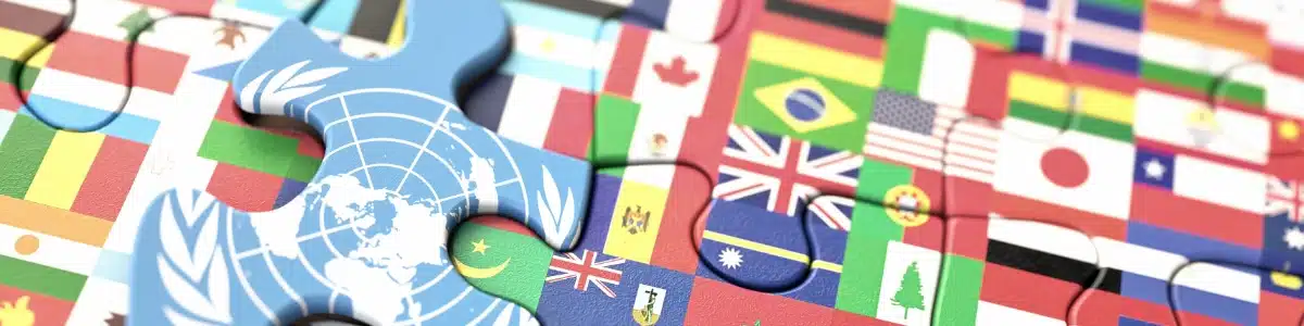 Various puzzle pieces representing the United Nations flag and flags of other nations.